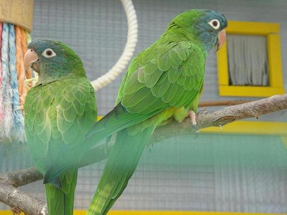 DSC05320 - Copie.JPG