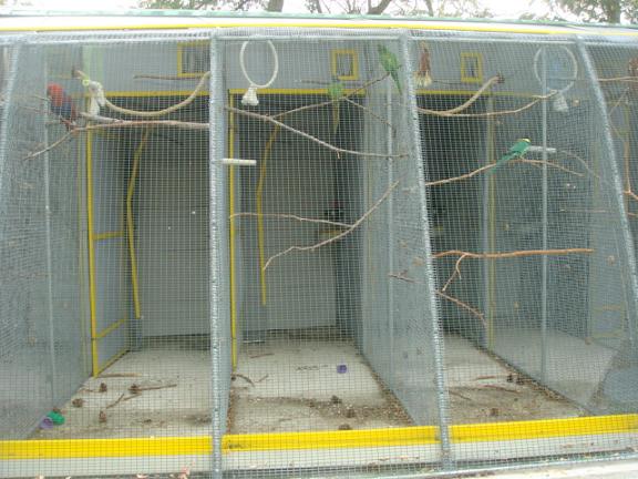 DSC05378 - Copie.JPG