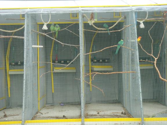 DSC05374 - Copie.JPG