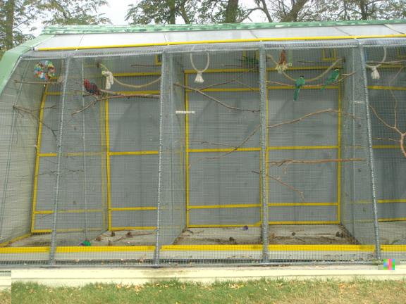 DSC05375 - Copie.JPG