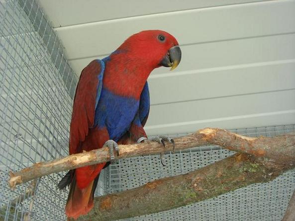 DSC05000 - Copie.JPG