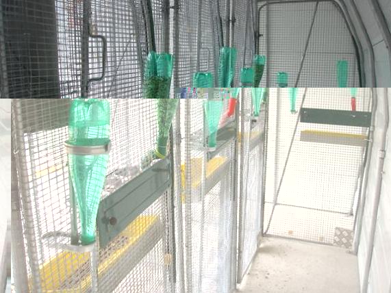 DSC04970 - Copie.JPG