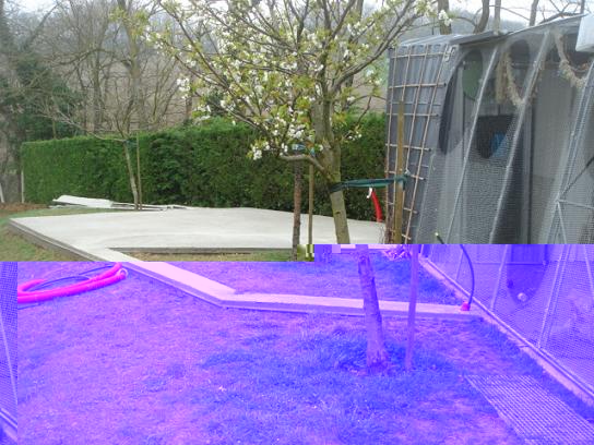 DSC04303 - Copie.JPG