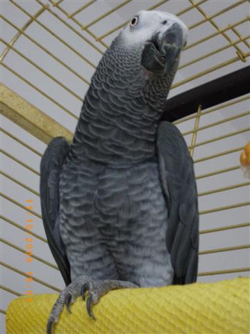 IMGP1299 (Small).JPG