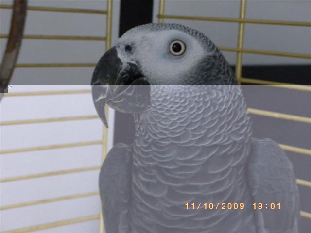 IMGP1300 (Small).JPG