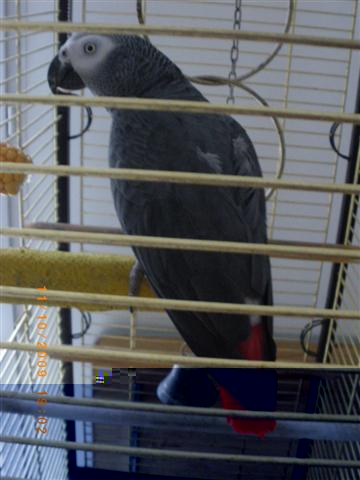 IMGP1301 (Small).JPG