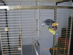 IMGP1296 (WinCE).JPG