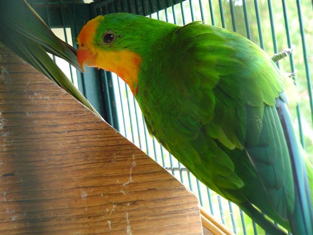 DSC04588 (Small).JPG