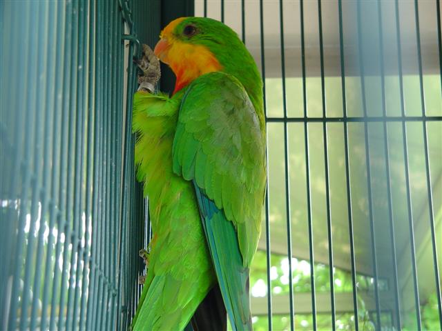 DSC04589 (Small).JPG