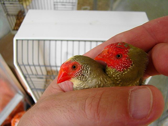 DSC06049 (Small).JPG