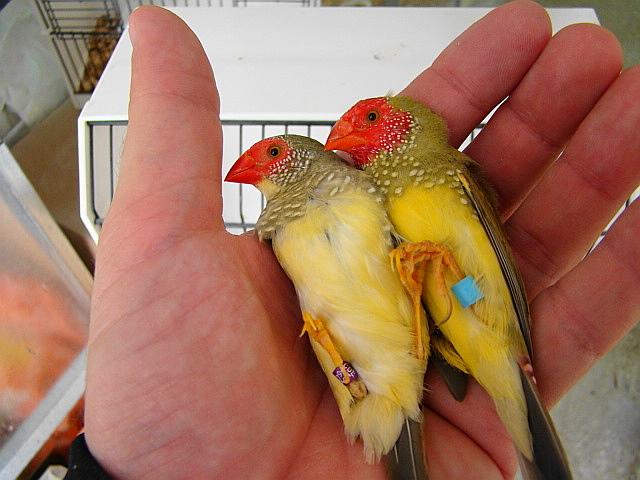 DSC06050 (Small).JPG