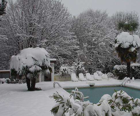 Copie de DSC02422 01.JPG