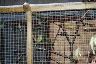 Neige 09 01 2010.jpg