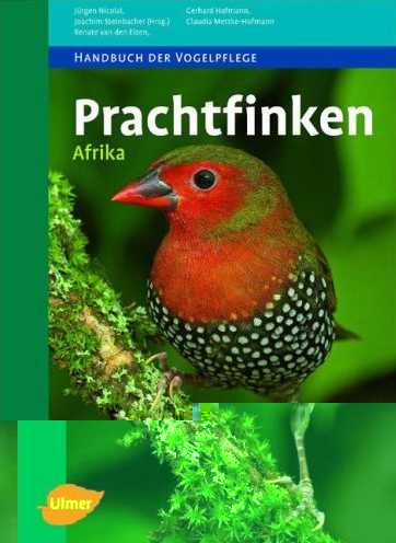 prachtvinken allemand.jpg