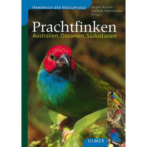 prachtvinken allemand oceanie.jpg