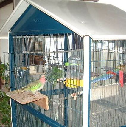 vivi, romain, capu, chloÃ©,E.T., zoÃ© 010.jpg