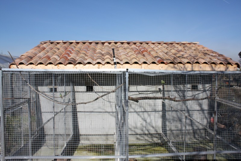 IMG_1455 [1600x1200].JPG