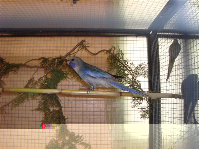 bourse de lambesc 2010 02 (Small) (2).JPG