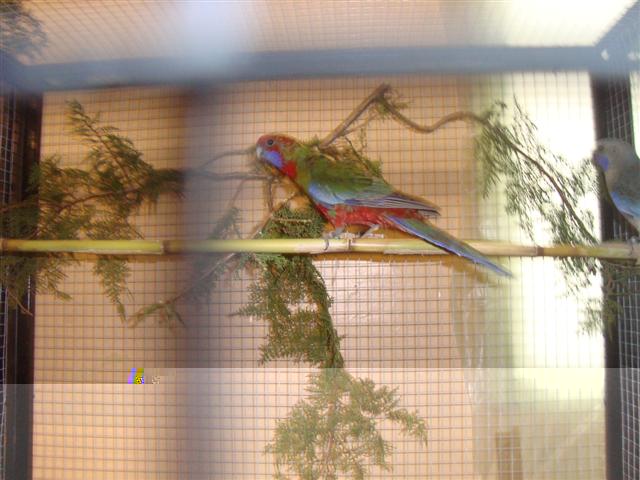 bourse de lambesc 2010 06 (Small).JPG