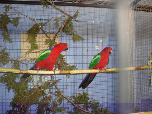 bourse de lambesc 2010 08 (Small).JPG