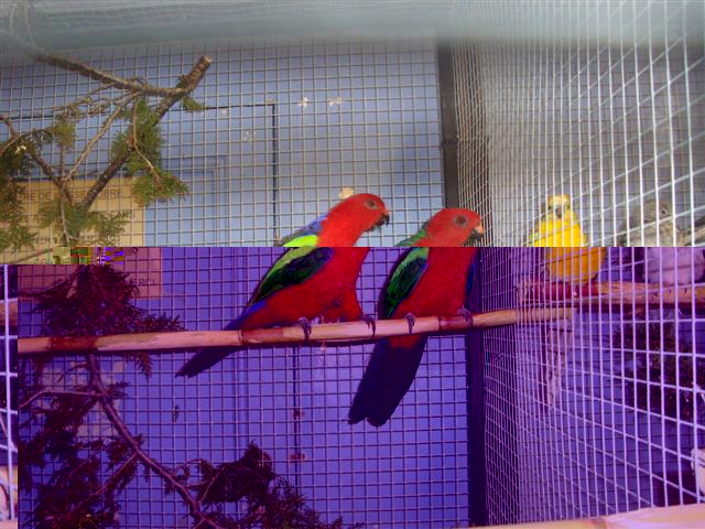 bourse de lambesc 2010 09 (Small).JPG