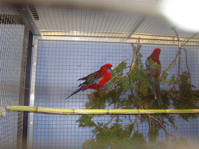 bourse de lambesc 2010 010 (Small).JPG