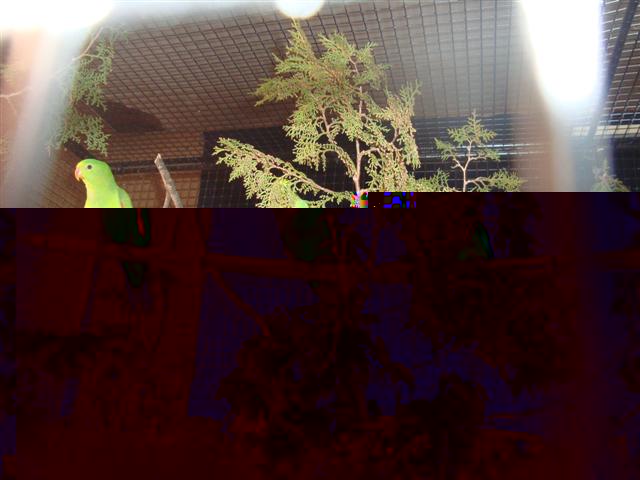 bourse de lambesc 2010 013 (Small).JPG