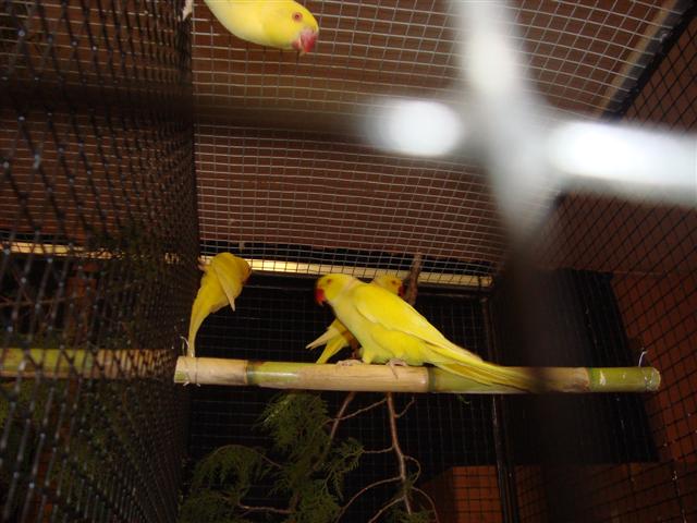 bourse de lambesc 2010 014 (Small).JPG