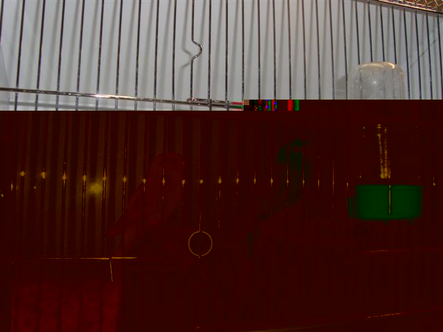 bourse de lambesc 2010 015 (Small).JPG