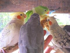 DSCN0148 (WinCE).JPG