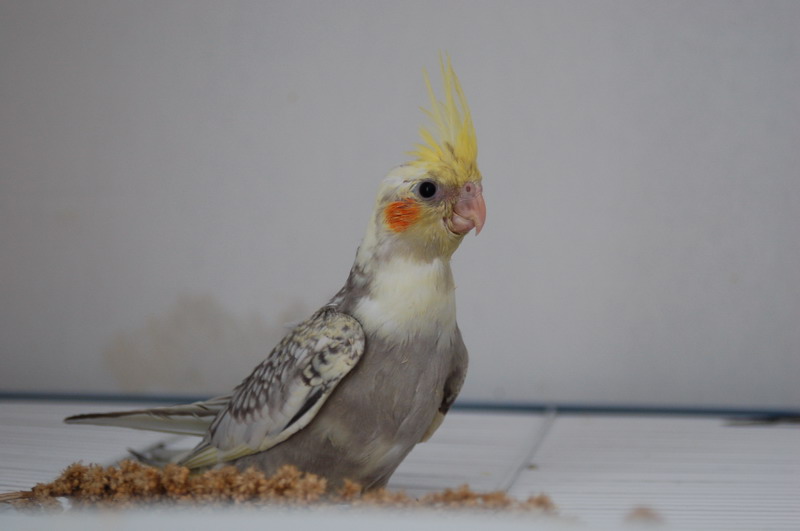 2010.05.08 018_resize.jpg