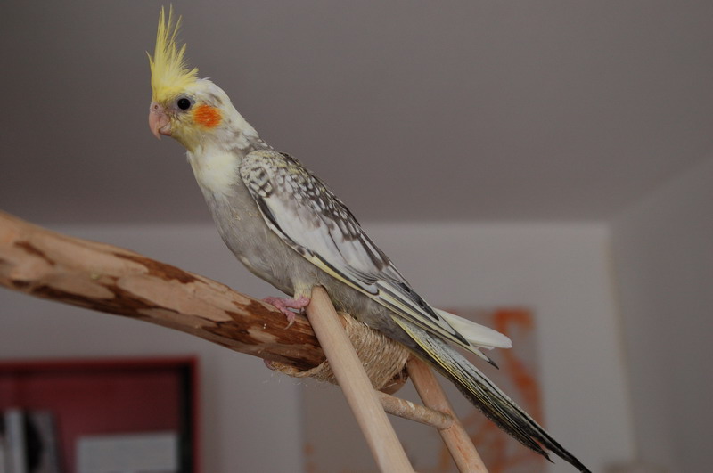 2010.05.08 017_resize.jpg