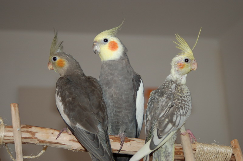 2010.05.06 003_resize.jpg