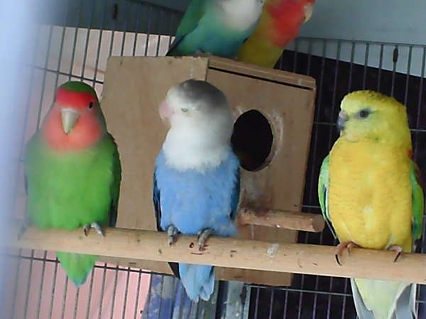 FISCHER PHOTO DEUX.jpg