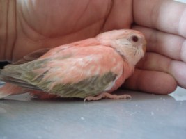 DSC05395 [320x200].JPG