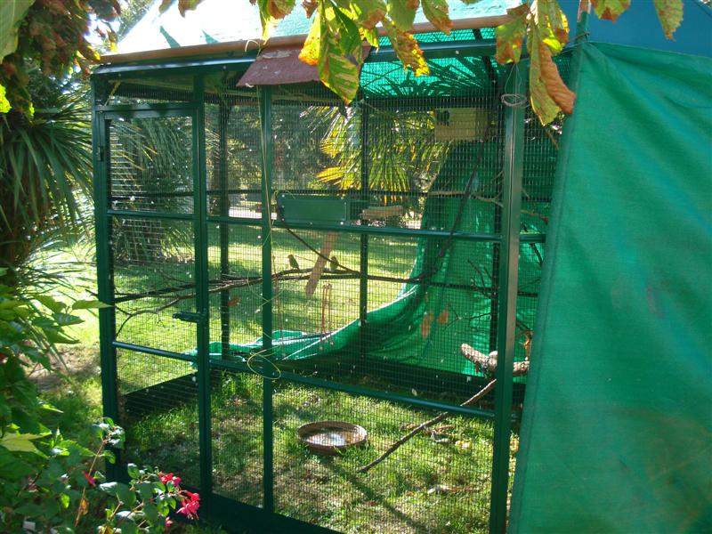 DSC01894 (Medium).JPG