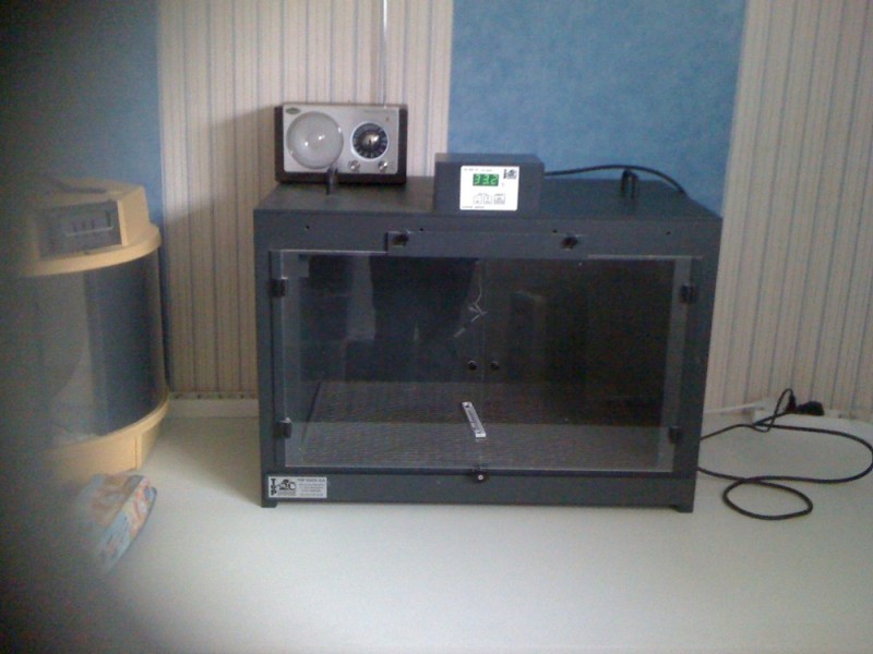 IMG_0858 rÃ©duite.jpg