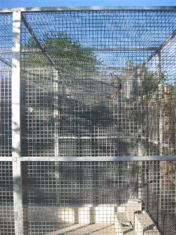 voliÃ¨res terminÃ©es 002 (Small).jpg