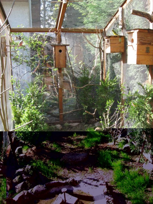 010.jpg (237.36 Kio) Vu 3238 fois 010.jpg