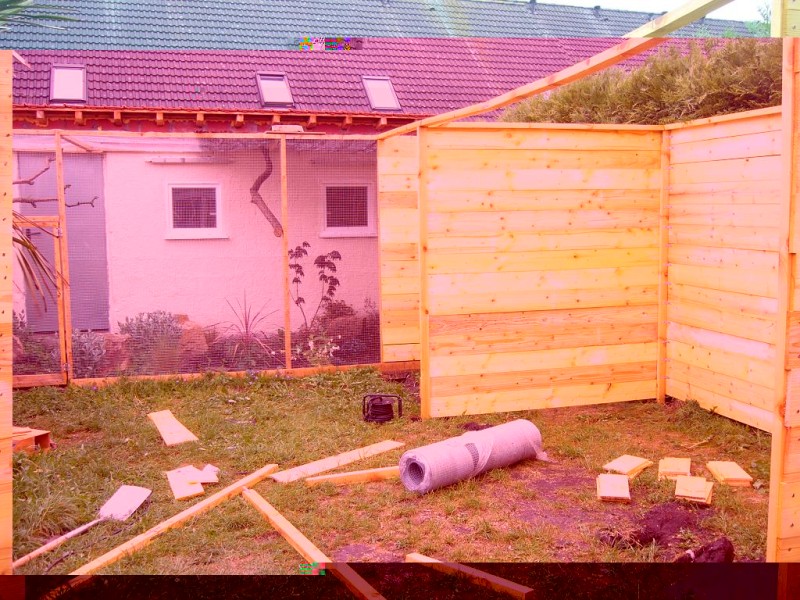 EXTENSION VOLIERE P1.JPG