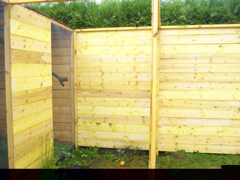 EXTENSION VOLIERE P3.JPG