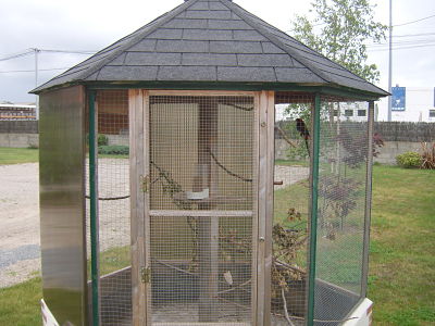 26 05 2010 (3)_opt.jpg