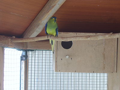 26 05 2010 (4)_opt.jpg