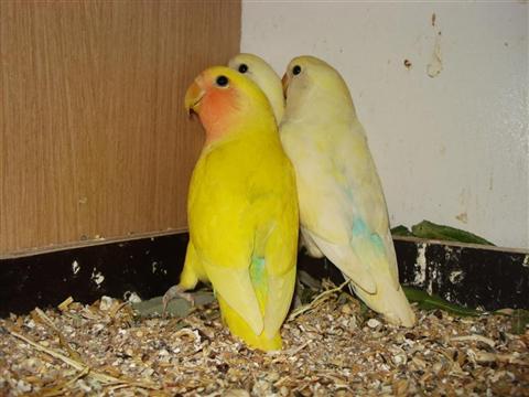 DSC01866 (Medium) (Custom).JPG