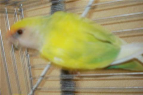 DSC02070 (Medium) (Custom).JPG