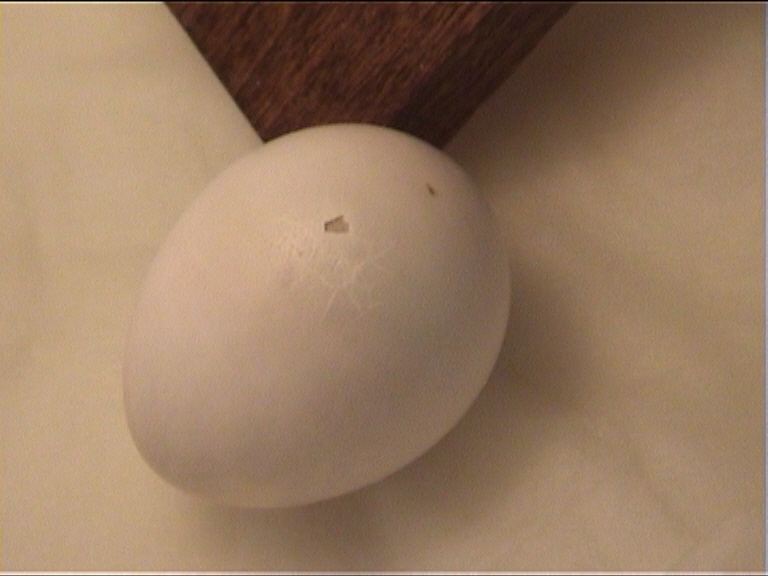 3 juin 2 h matin.jpg