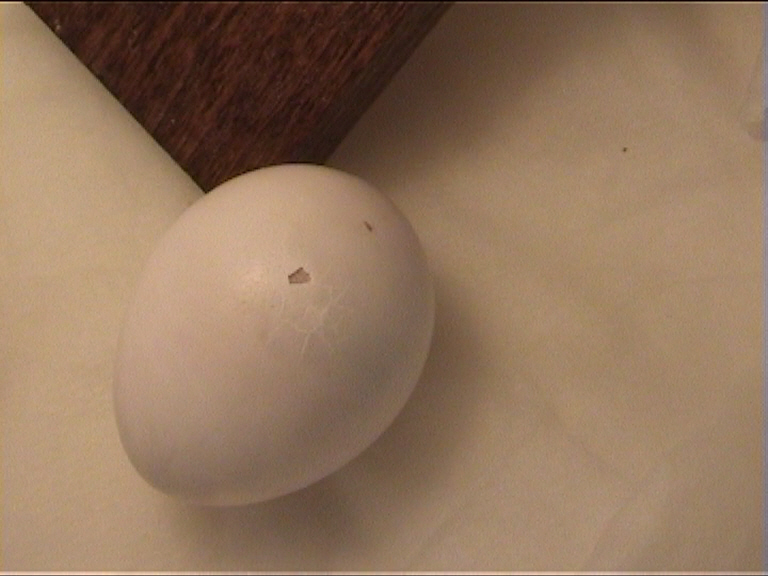 3 juin 9 h matin.jpg