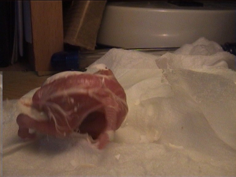 cÃ©sarienne 12.jpg