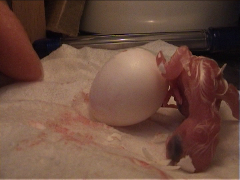 cÃ©sarienne 23.jpg