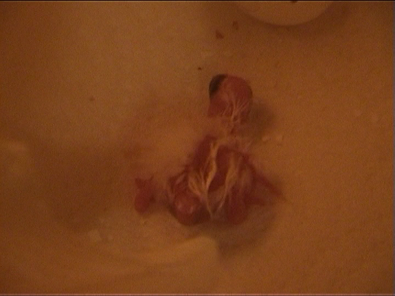 CALIMERO 2 heures 1.jpg